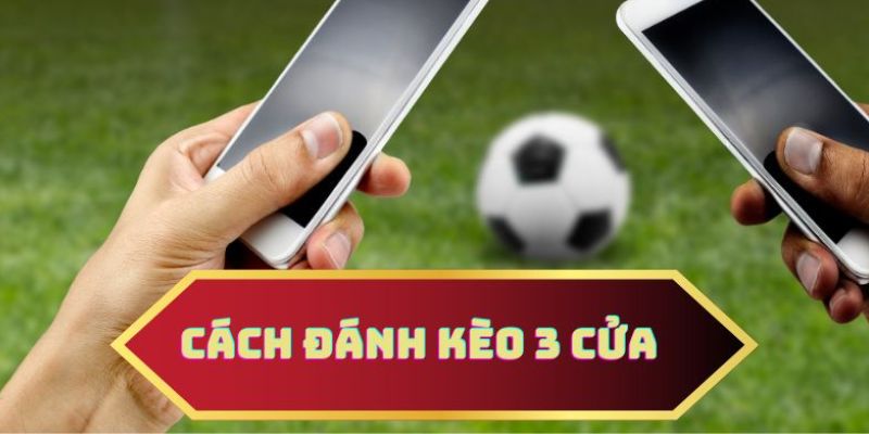 Các thắc mắc thường gặp về điều khoản sử dụng của tinsoikeo.cc